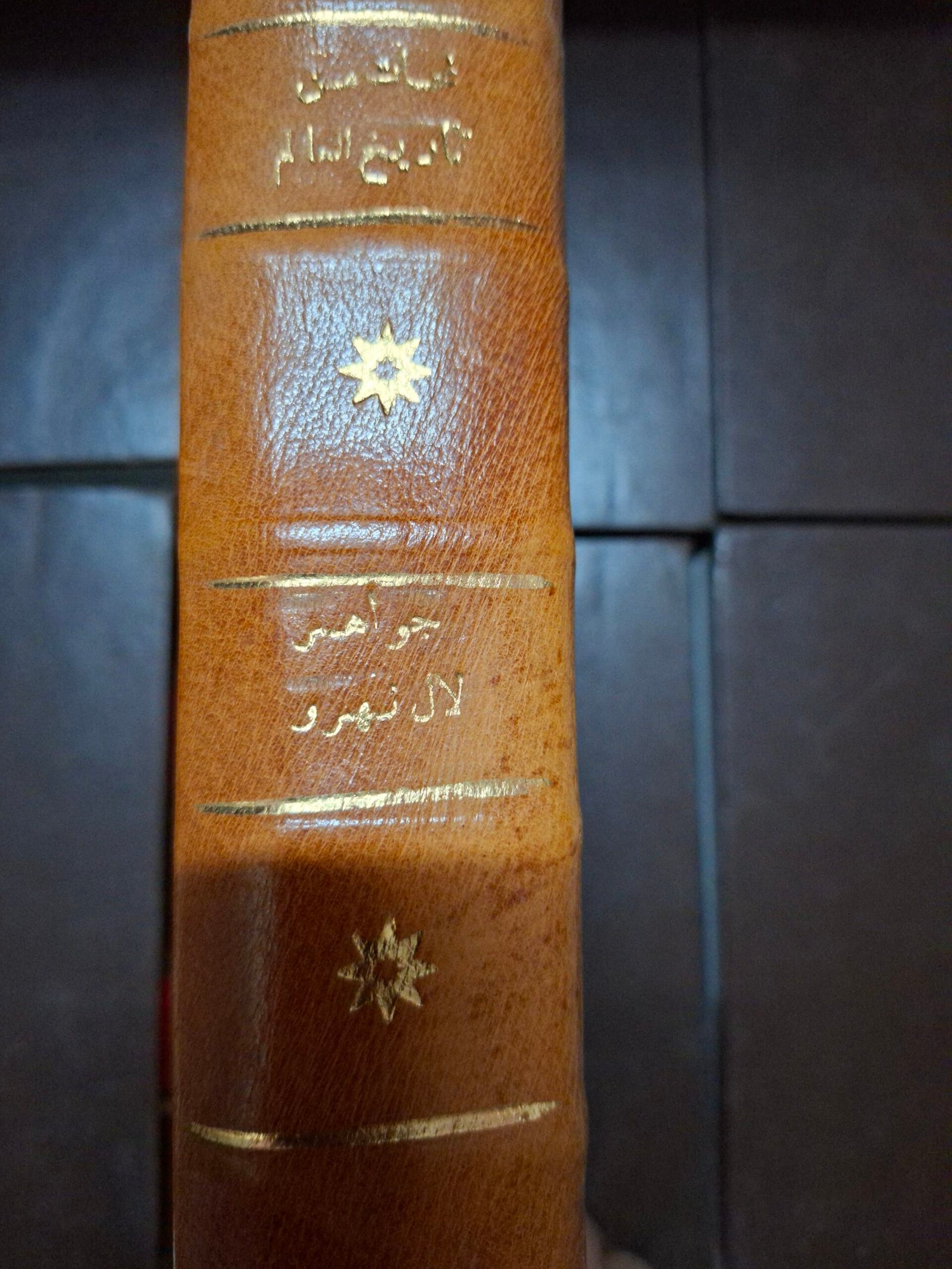 لمخات من تاريخ العالم
تاليف:جوهر لال نهرو - الصورة 2